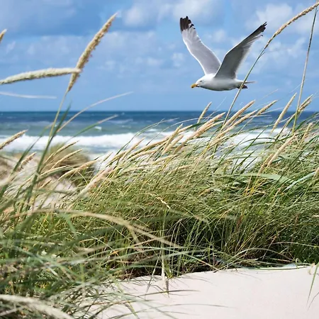 In By The Seafront Apartman *